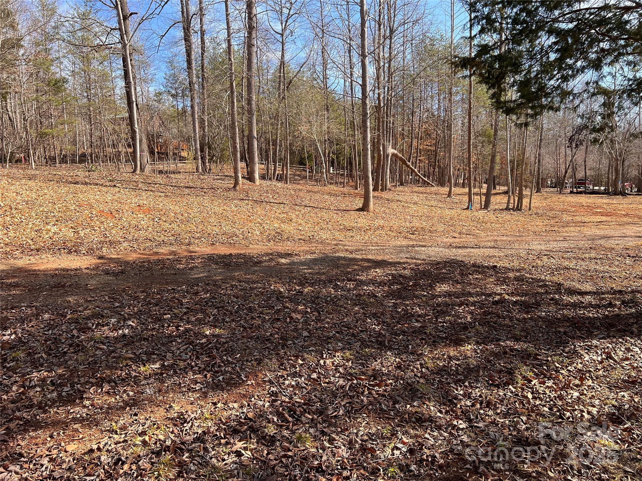 999 River Crest Parkway, Unit 28 Rutherfordton, NC 28139 - Photo 6 of 23 a view of road with trees