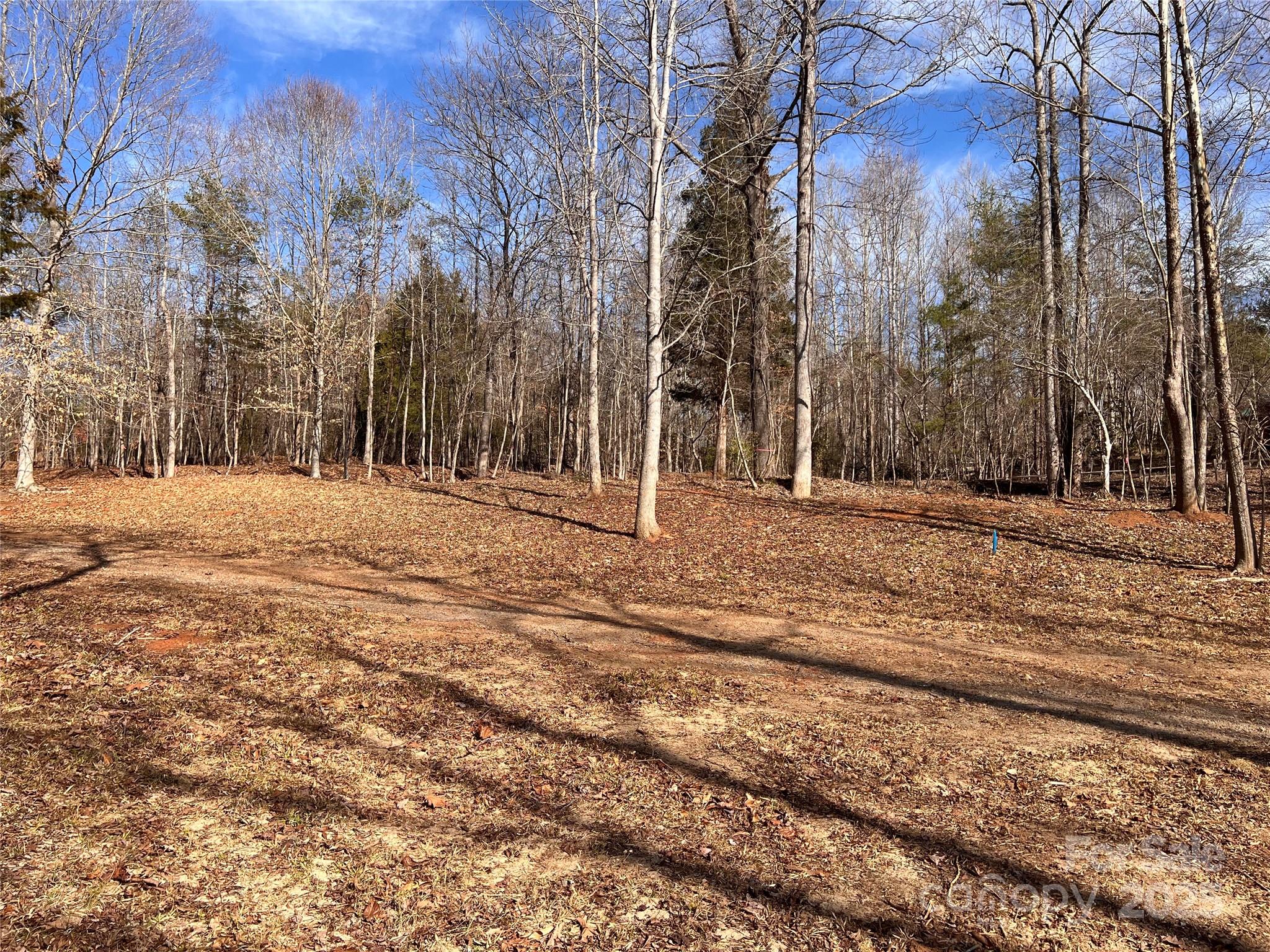 999 River Crest Parkway, Unit 28 Rutherfordton, NC 28139 - Photo 8 of 23 a big yard with large trees
