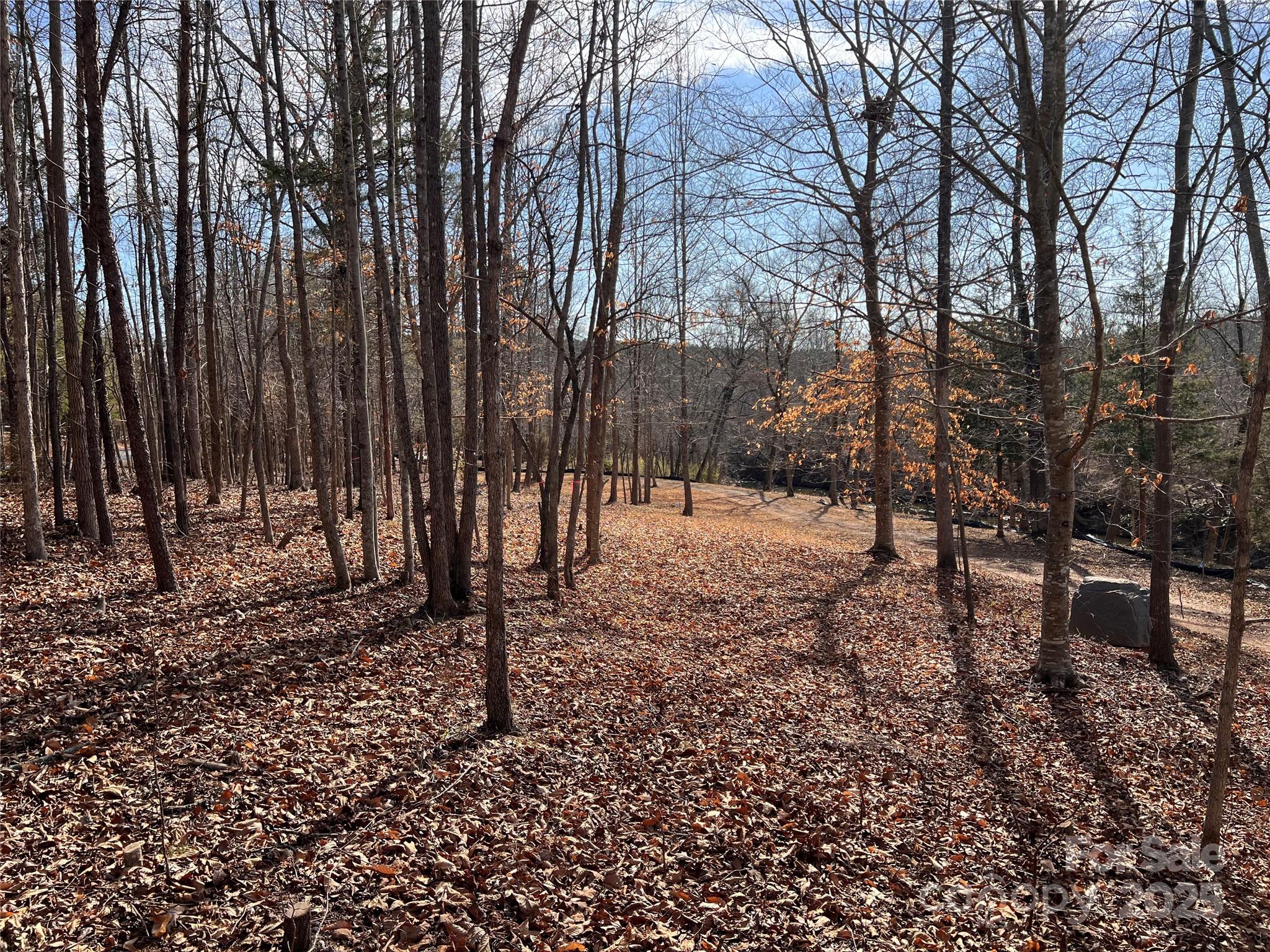 999 River Crest Parkway, Unit 28 Rutherfordton, NC 28139 - Photo 10 of 23 a view of outdoor space with lots of trees