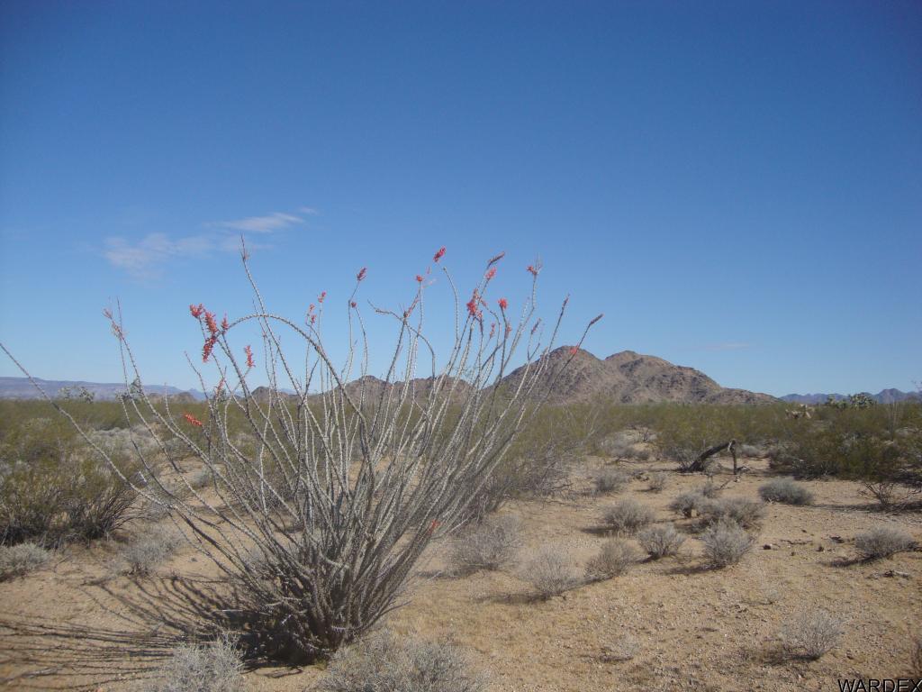 762 B Roy Rogers Road Yucca, AZ 86438 - Photo 1 of 20 Primary Photo