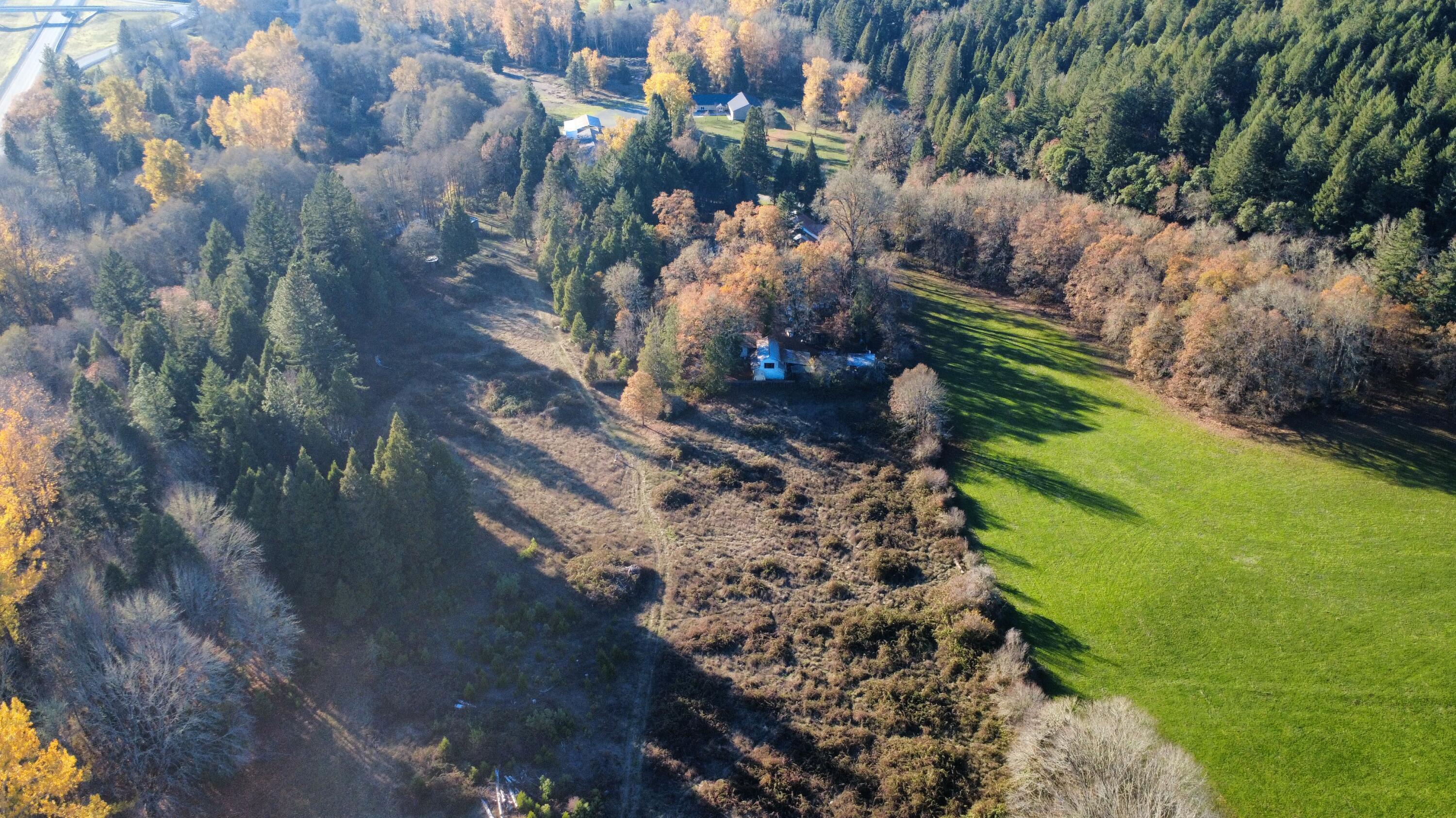 188 Pisqually Lane Azalea, OR 97410 - Photo 9 of 19 dji_fly_20251115_144946_57_1763247162518