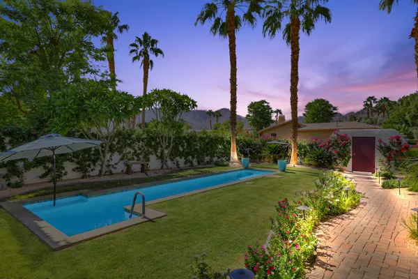 a view of a backyard with plants and a large tree