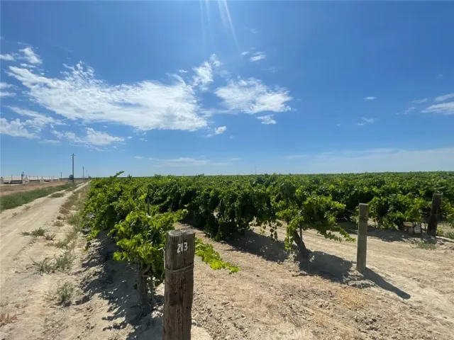 a view of a lake with a yard