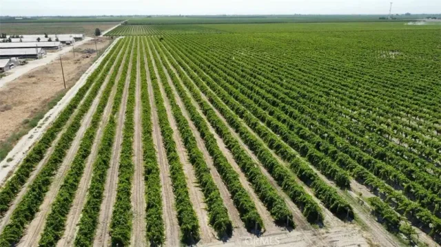 a view of a yard with a park