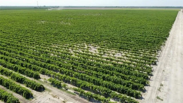 a view of a field with outside view