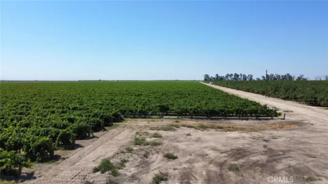 a view of a yard with a park