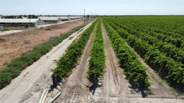 a view of a backyard with plants and outdoor seating