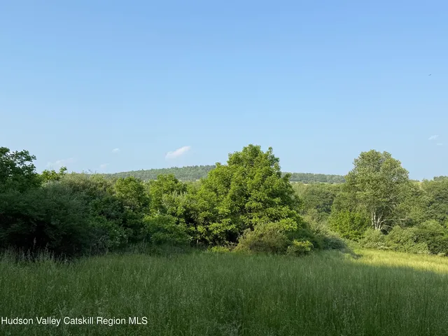 a view of a green field with lots of bushes