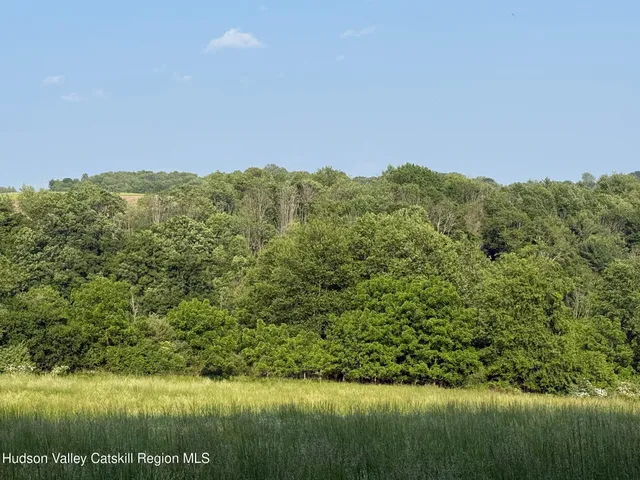 a view of a lake with a mountain in the background