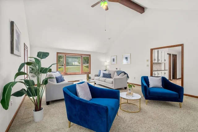 a living room with furniture and a potted plant