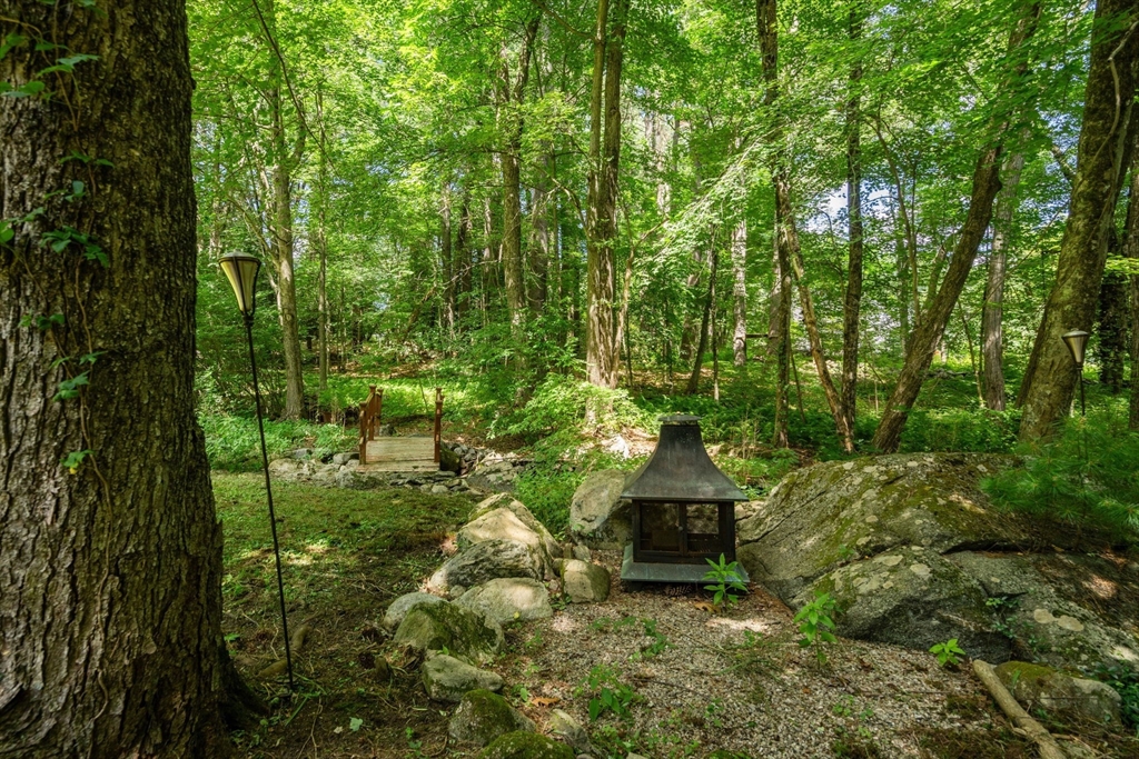 1 Maillet Drive Acton, MA 01720 - Photo 34 of 42 a picture of trees