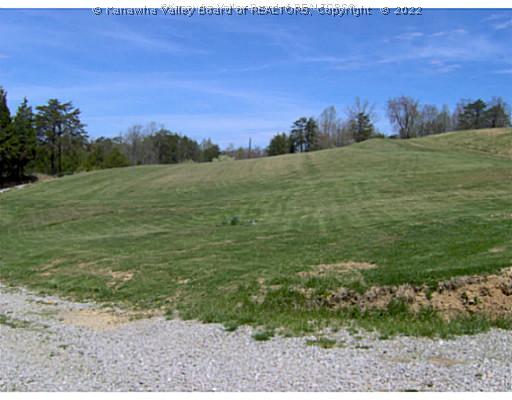 789 Bethel Ridge Road Buffalo, WV 25033 - Photo 7 of 8 Land.