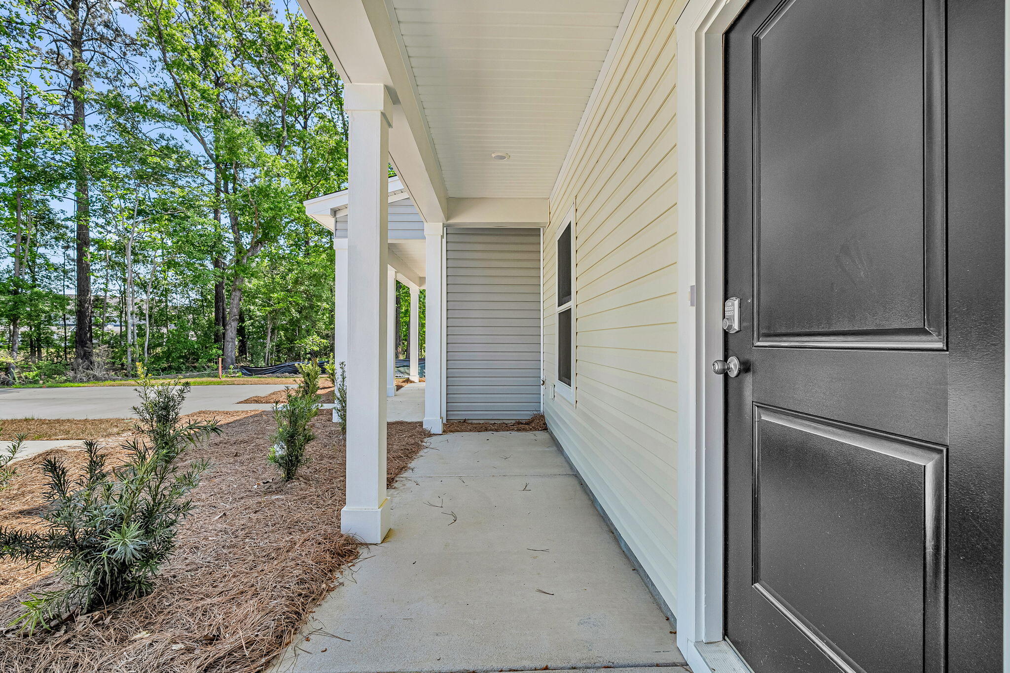 251 Harding Lane Goose Creek, SC 29445 - Photo 4 of 50 LOT 21 EXTERIOR PHOTO 4