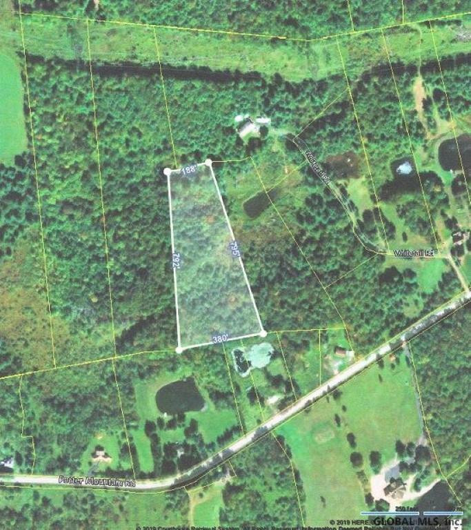 0 Potter Mountain Road Gilboa, NY 12076 - Photo 1 of 3 Photo 1