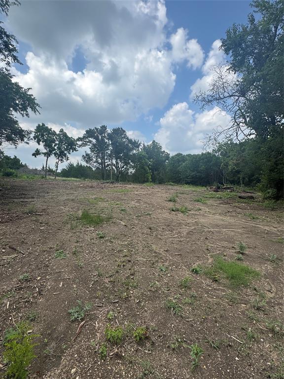 Tbd Burke Road Gunter, TX 75058 - Photo 2 of 6