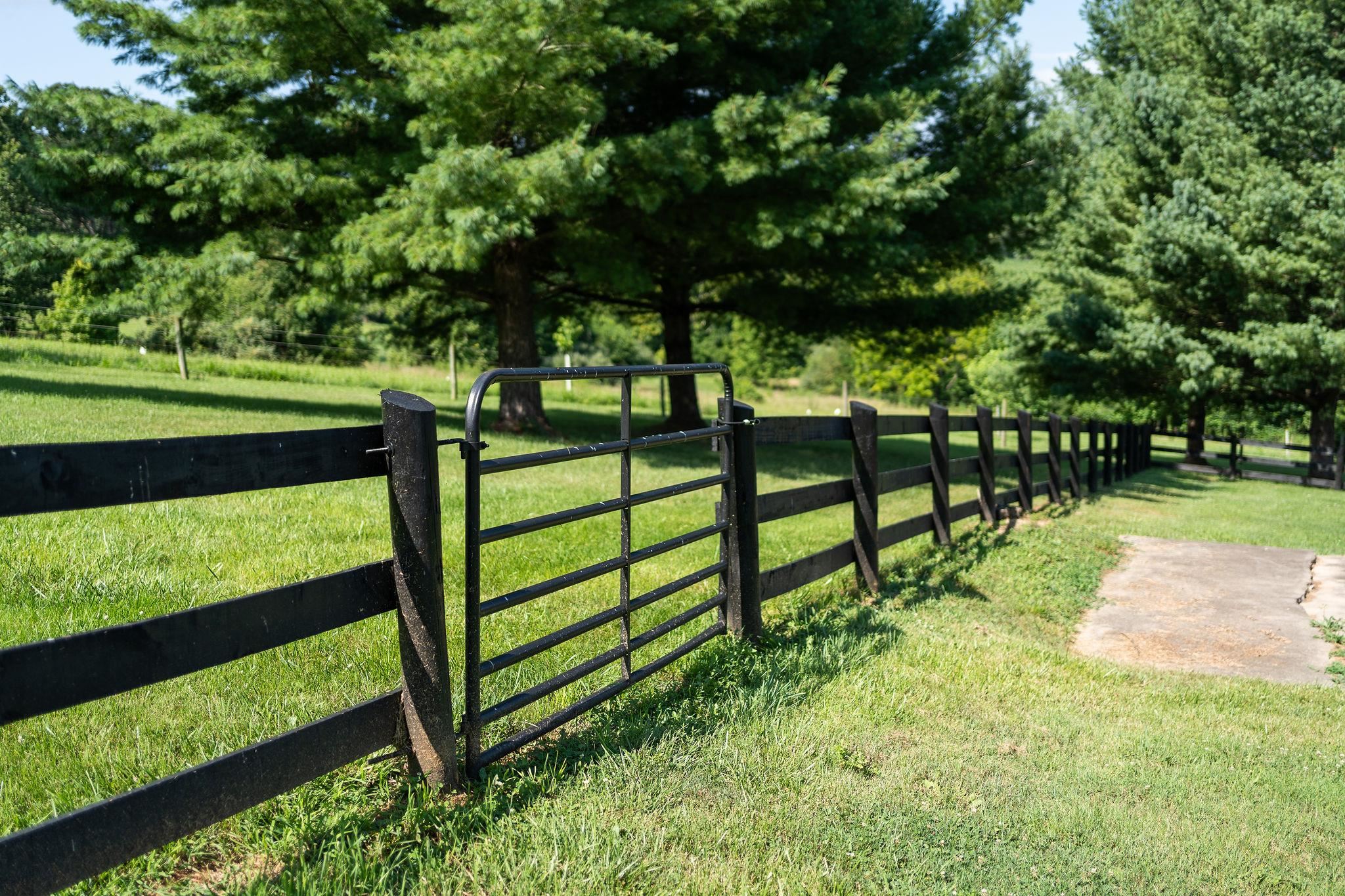 308 Stonewall Road Weyers Cave, VA 24486 - Photo 21 of 71 a view of a bench in the garden