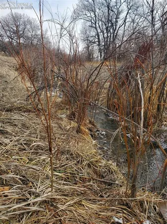 $6,000 | Thacker Road, Rye, CO 81069