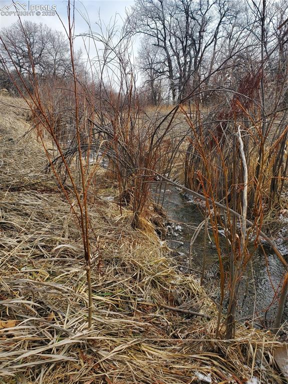 Thacker Road Rye, CO 81069 - Photo 6 of 6 a backyard of a house with lots of green space