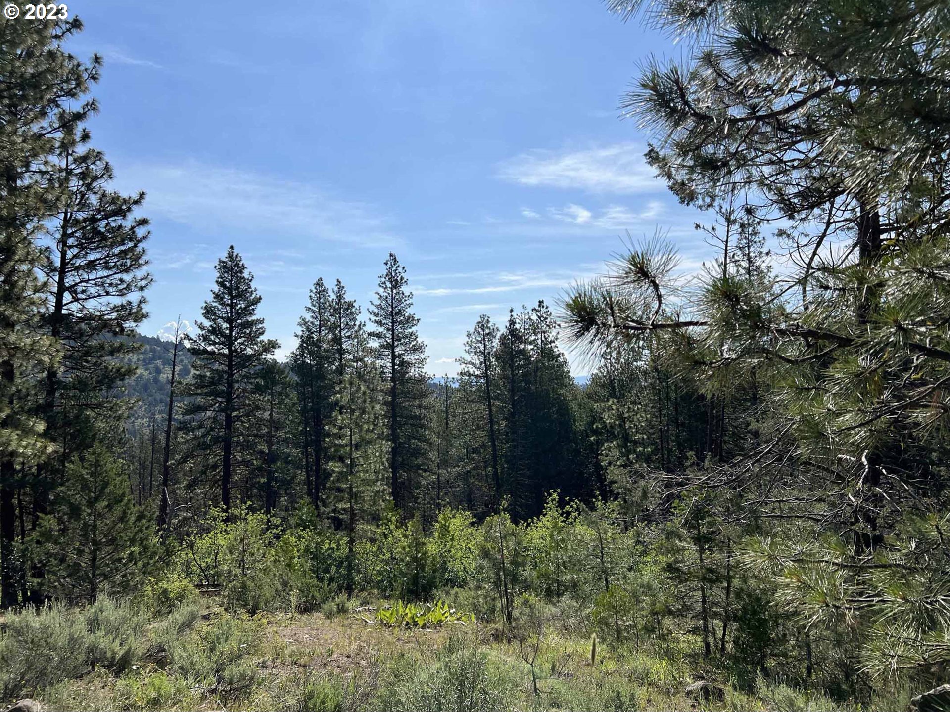 Drews Gap Road, Unit 900 Lakeview, OR 97630 - Photo 1 of 46 Gallery Image 1