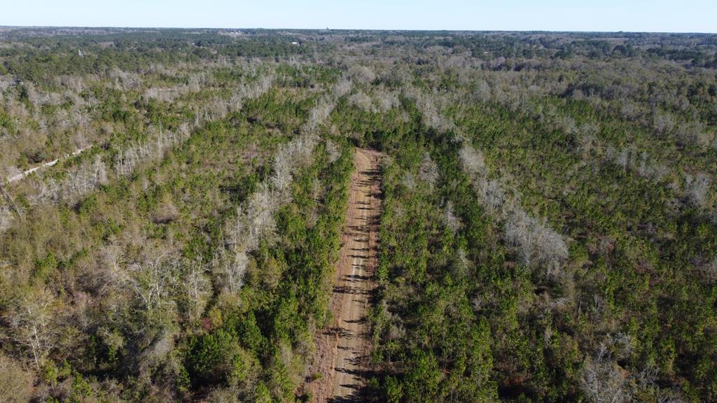 Lot 4 McMillan Road Lenox, GA 31637 - Photo 6 of 21 Gallery Image 6
