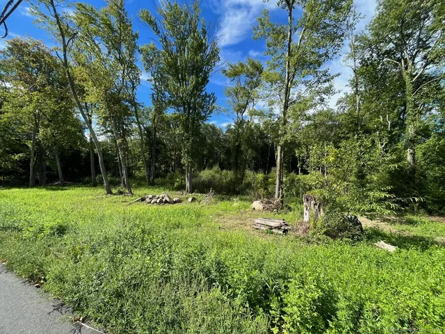 a backyard of a house with swimming pool and green space