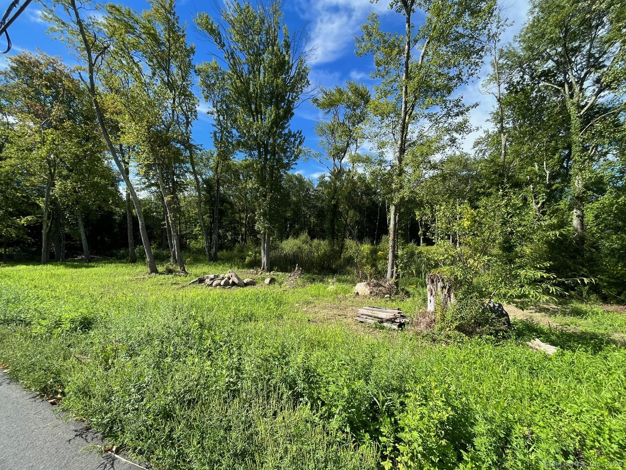 a backyard of a house with swimming pool and green space