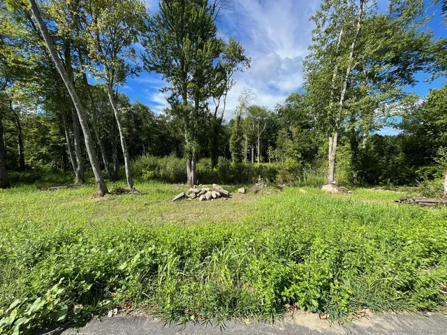 a view of outdoor space and yard