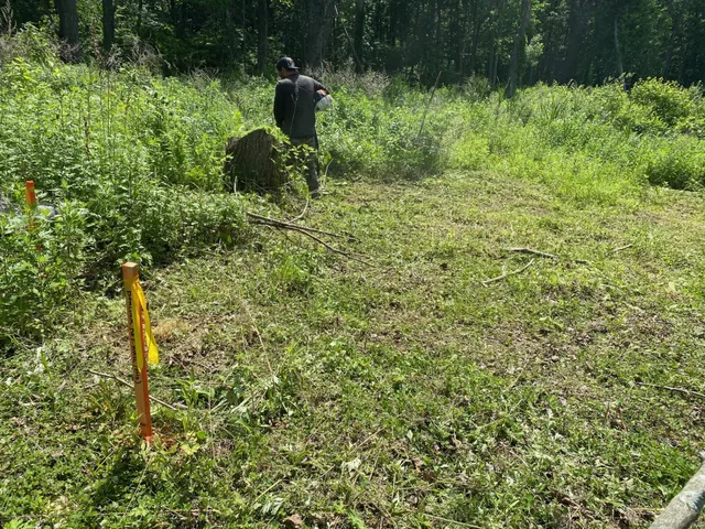 a backyard of a house with lots of green space