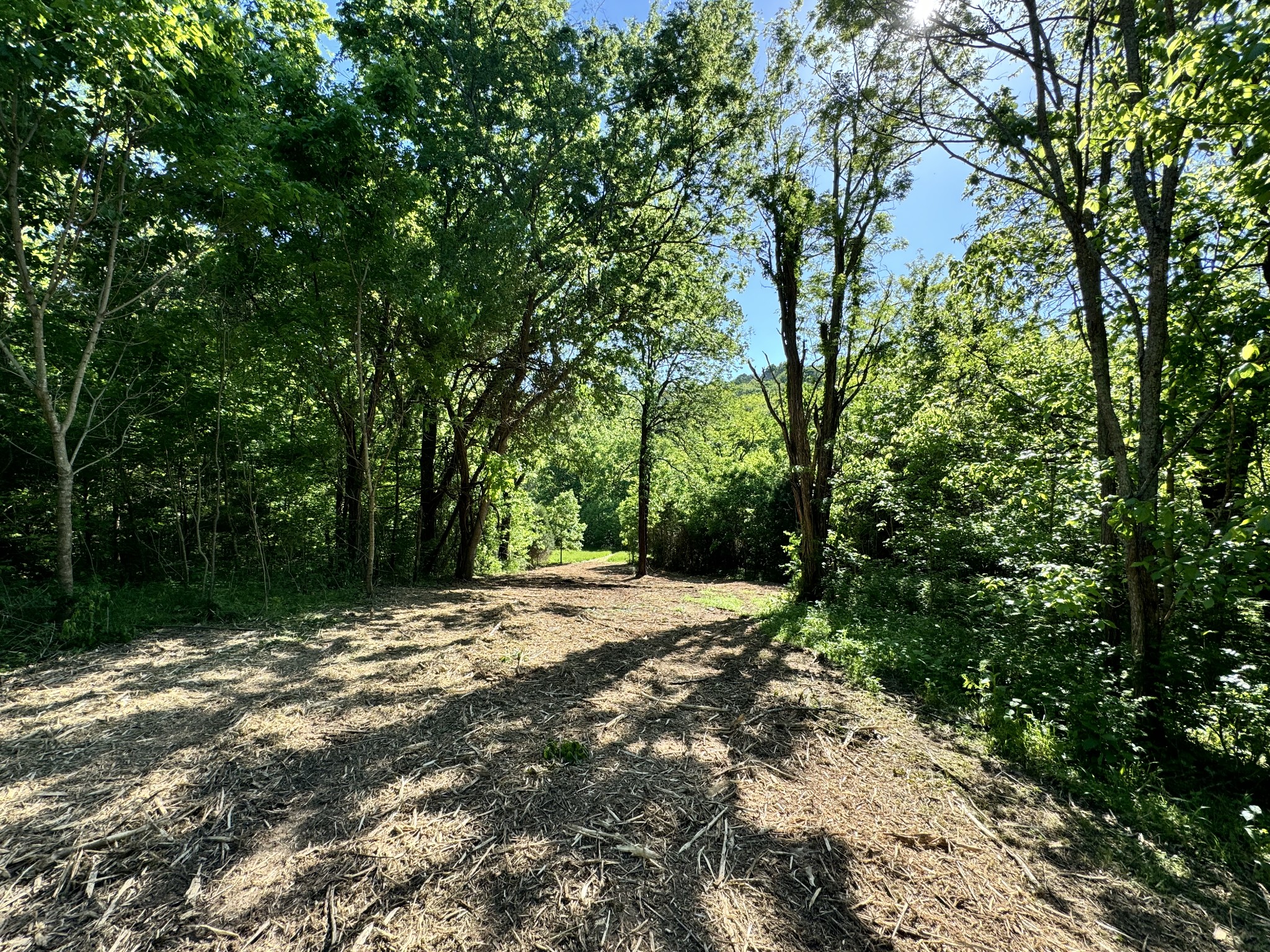 4980 Sherrilltown Road Watertown, TN 37184 - Photo 12 of 43 a view of a yard with plants and trees
