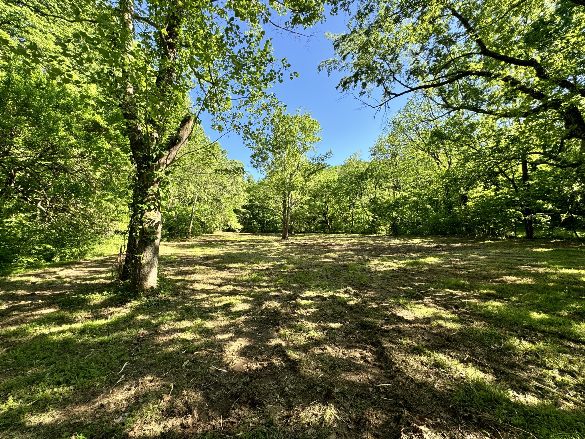 4980 Sherrilltown Road Watertown, TN 37184 - Photo 14 of 43 a view of yard with green space