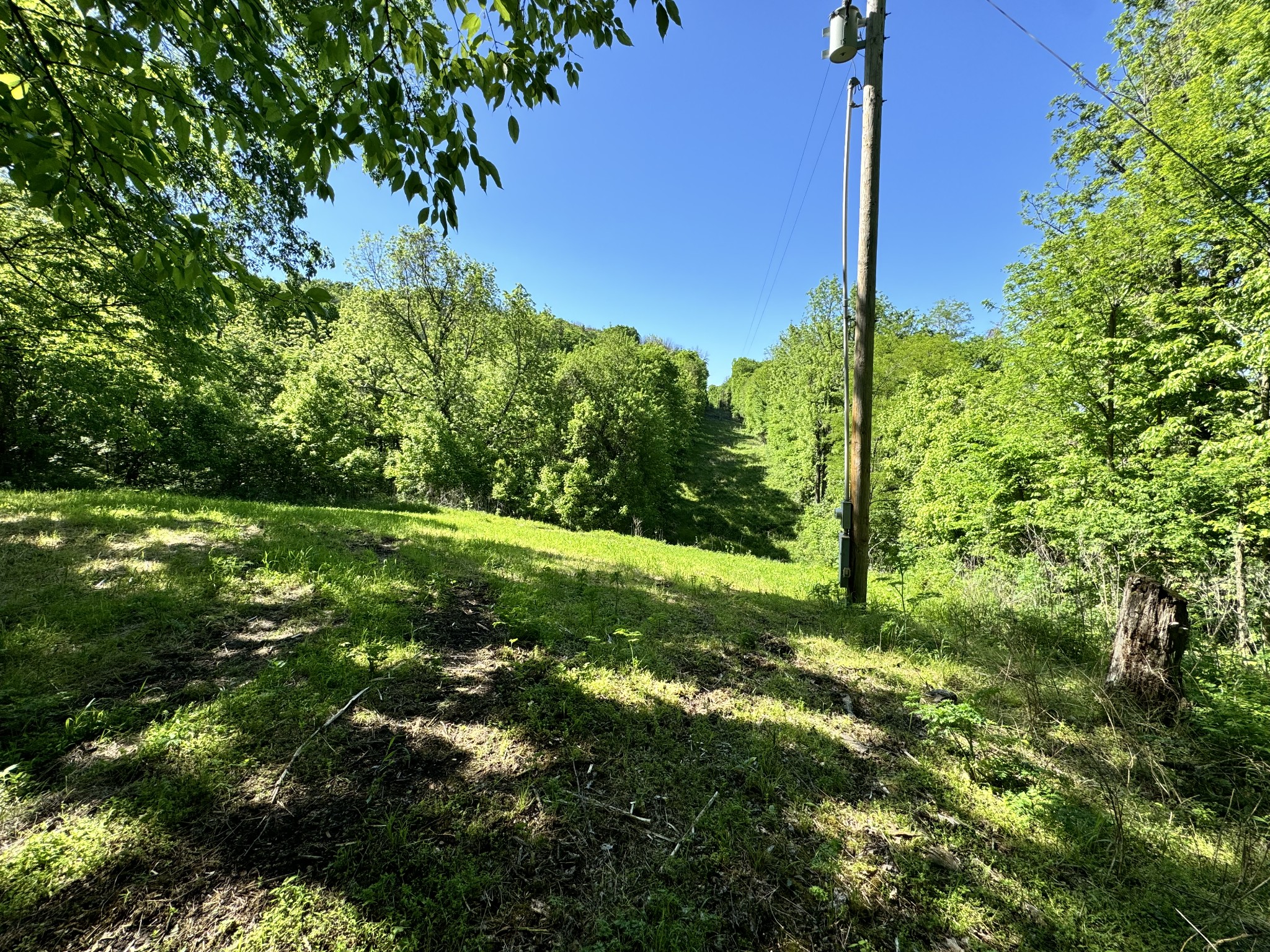 4980 Sherrilltown Road Watertown, TN 37184 - Photo 2 of 43 a view of a field with a tree