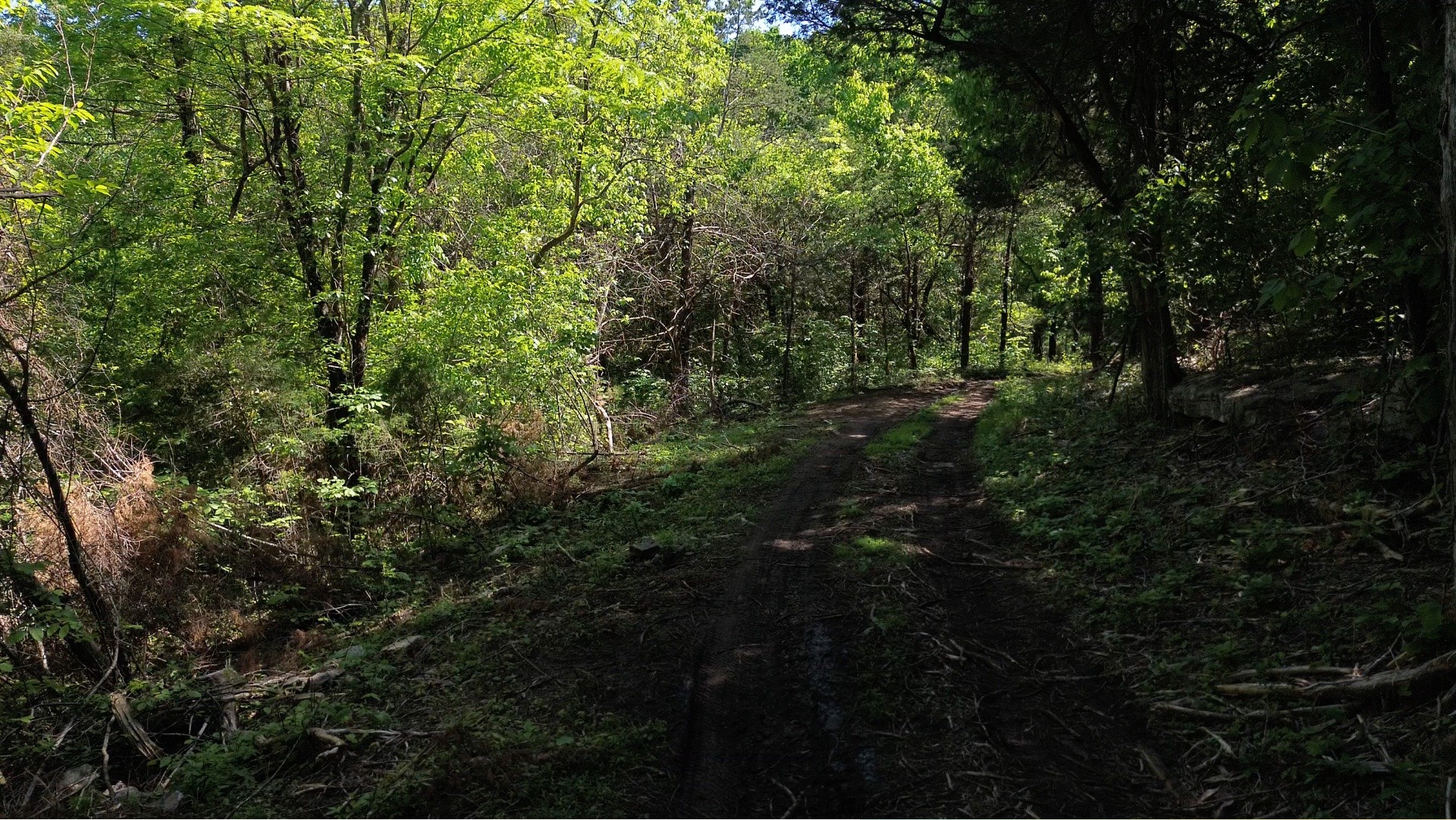 4980 Sherrilltown Road Watertown, TN 37184 - Photo 21 of 43 a view of a yard