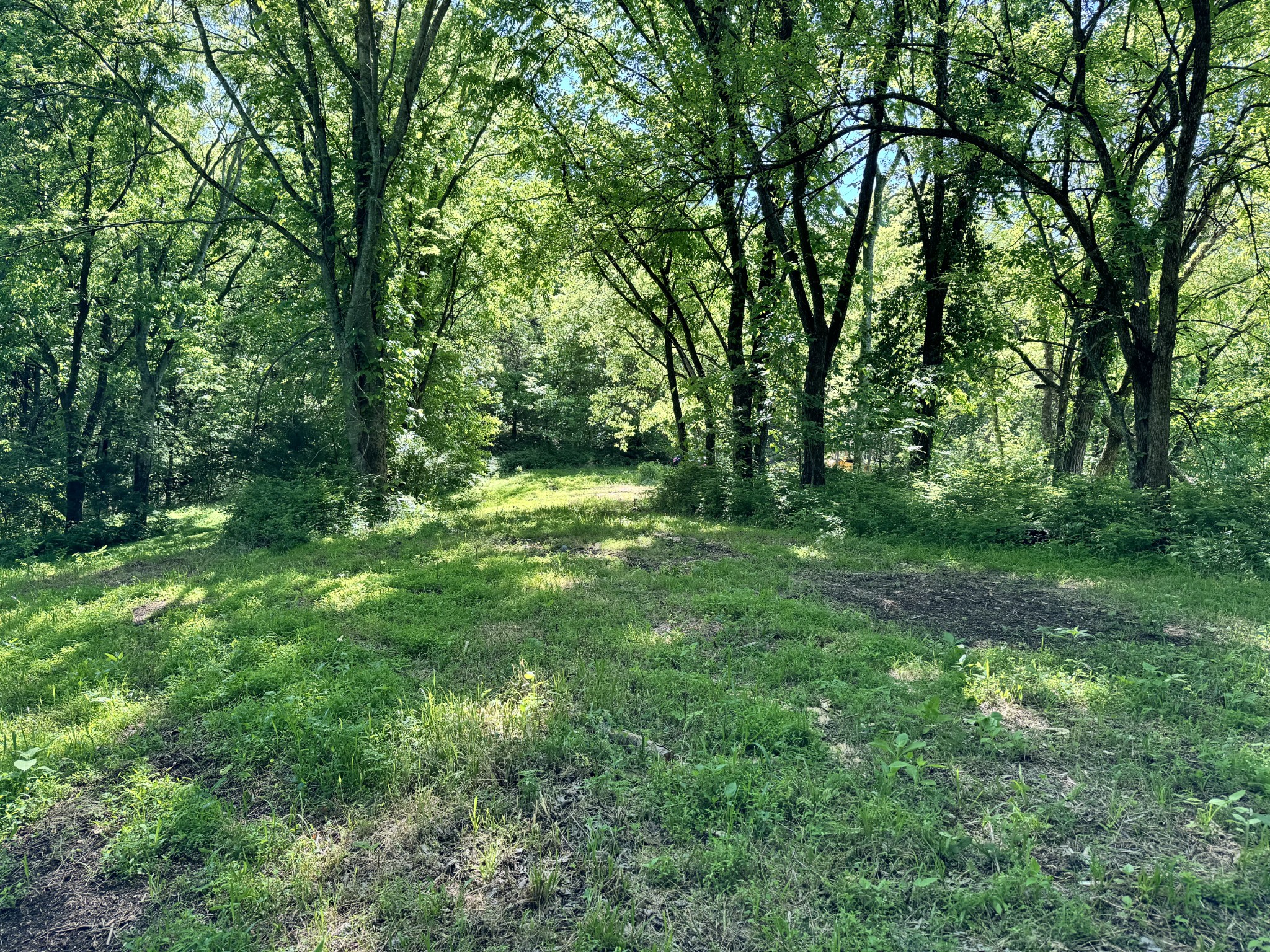 4980 Sherrilltown Road Watertown, TN 37184 - Photo 3 of 43 a big yard with lots of green space and deers