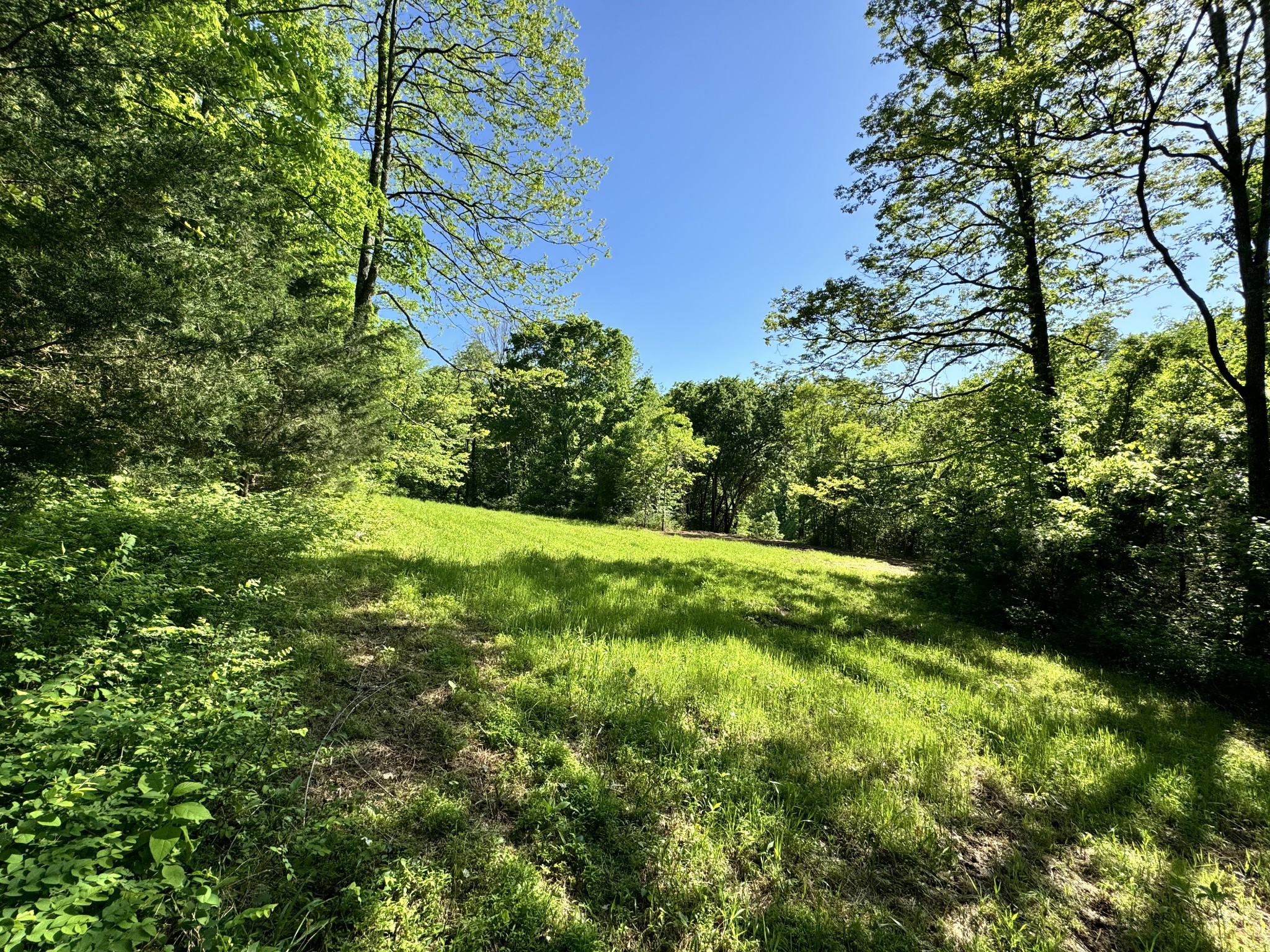 4980 Sherrilltown Road Watertown, TN 37184 - Photo 10 of 43 a view of a garden