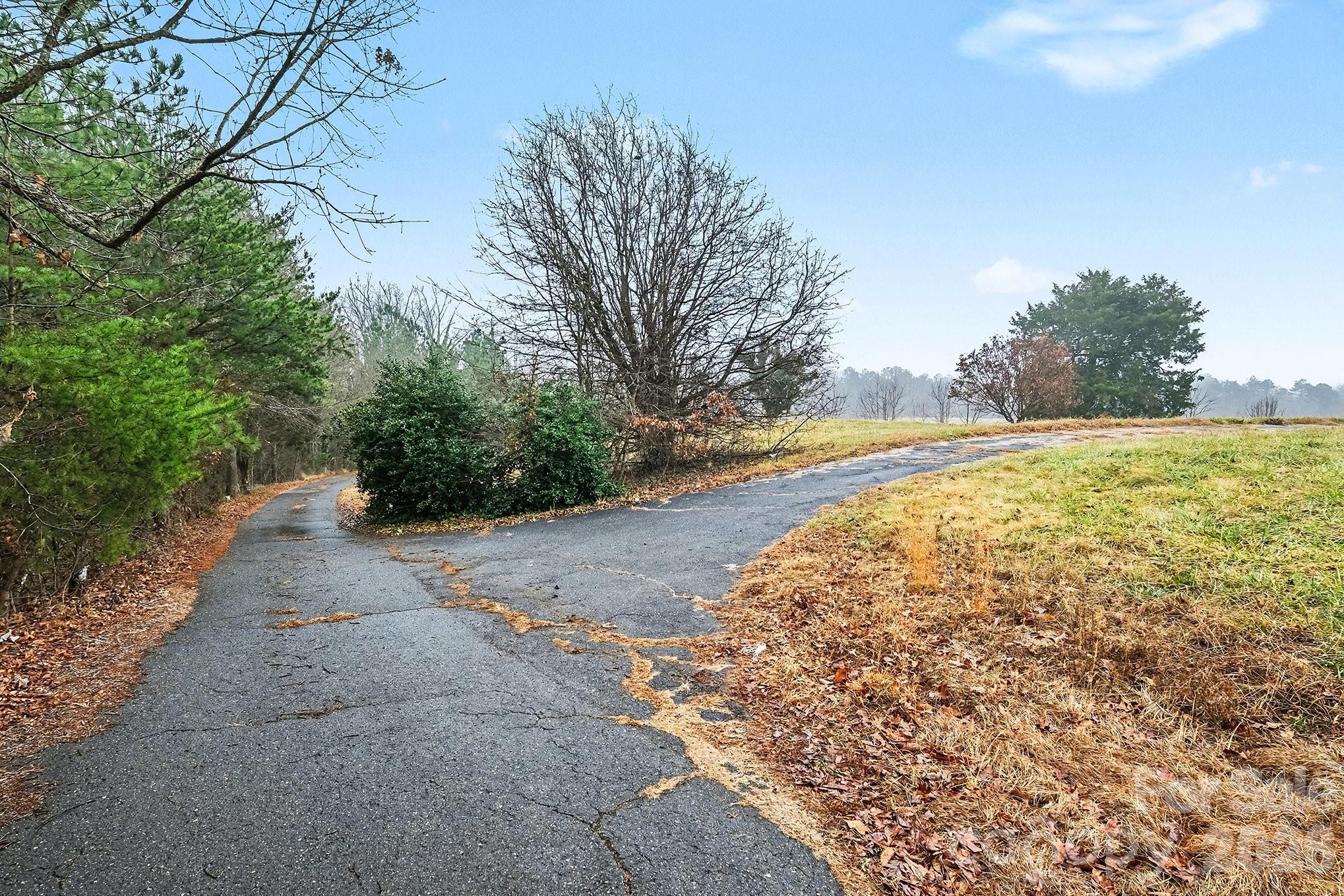 118 Hord Road Lawndale, NC 28090 - Photo 5 of 41 a view of a yard with an trees