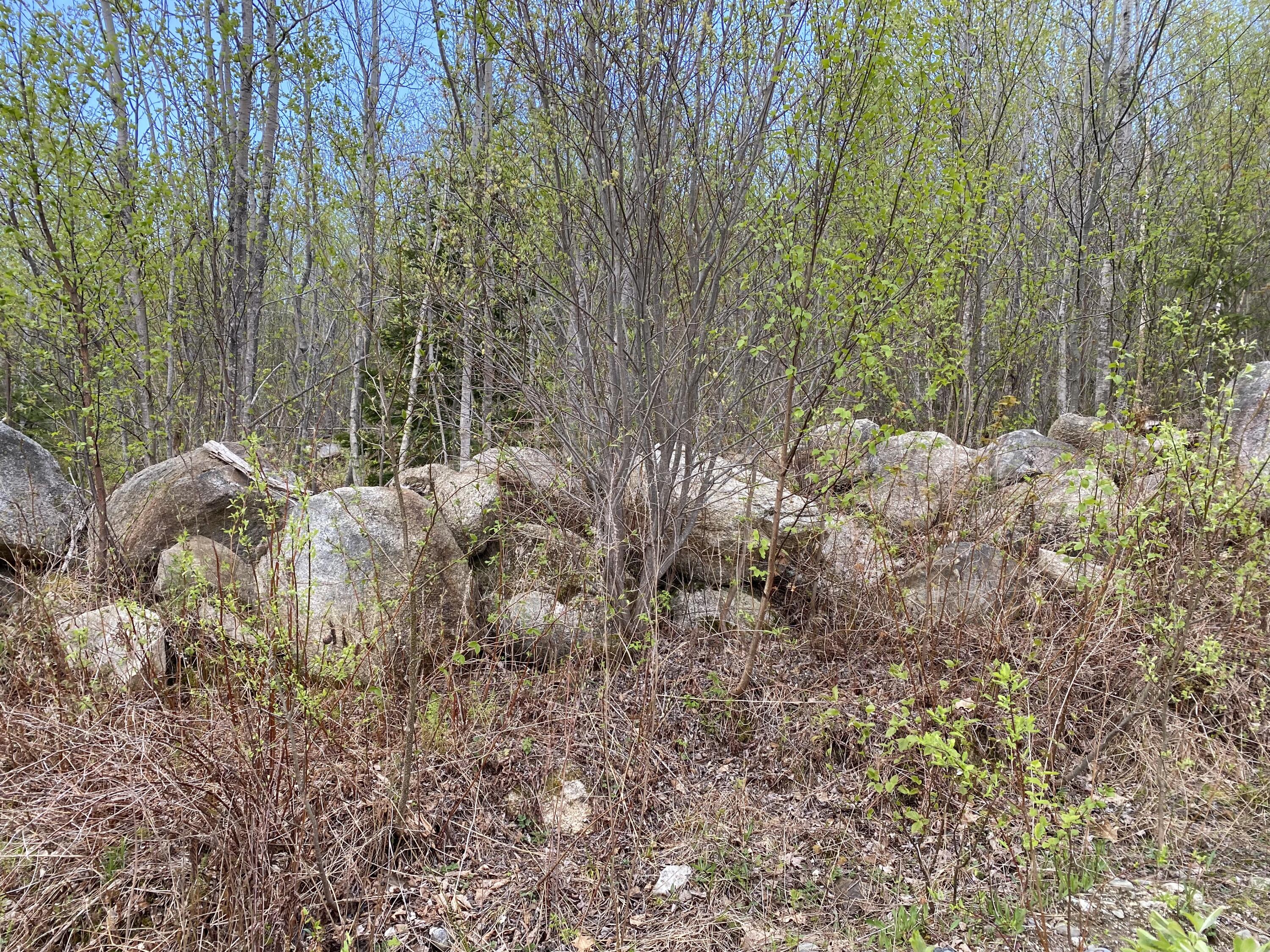 565 Ft Knox Road Prospect, ME 04981 - Photo 3 of 10 IMG_3374