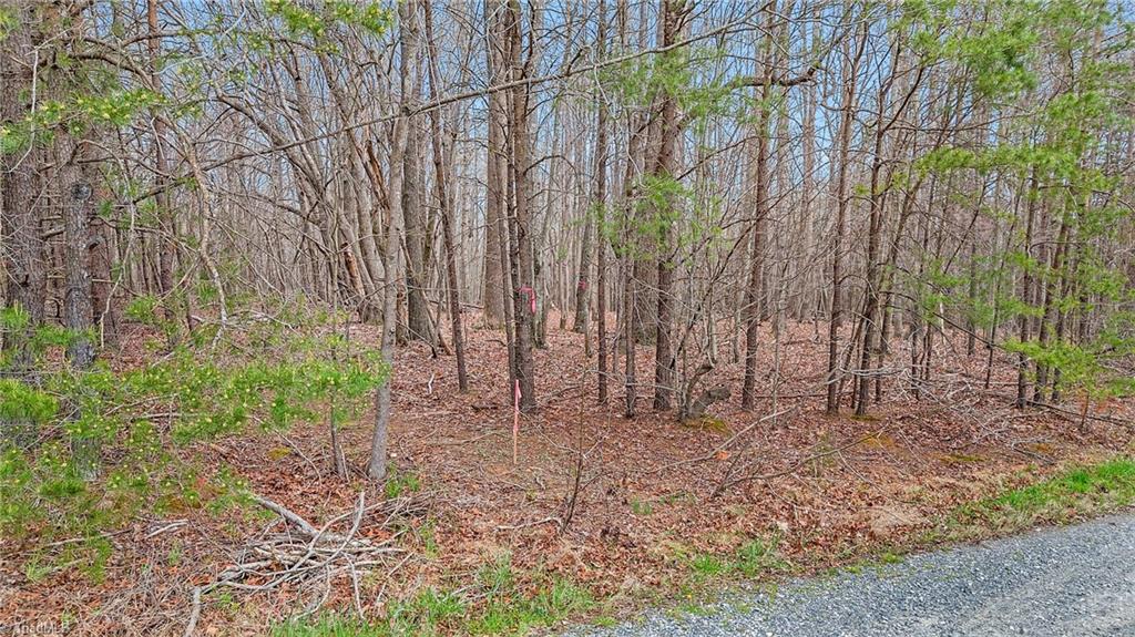Lot 9 Mrs Fuller Road Mebane, NC 27302 - Photo 3 of 8 Gallery Image 3