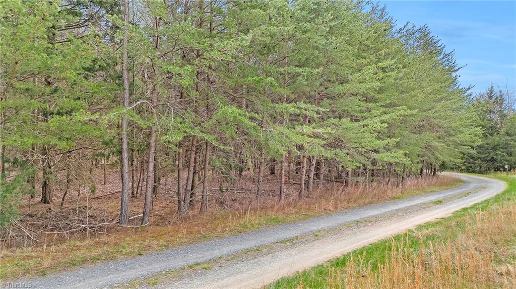Lot 9 Mrs Fuller Road Mebane, NC 27302 - Photo 4 of 8 Gallery Image 4