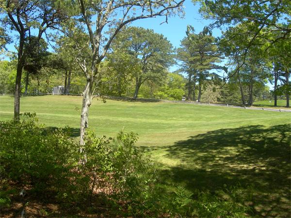 a yard with lots of green space and trees in the background
