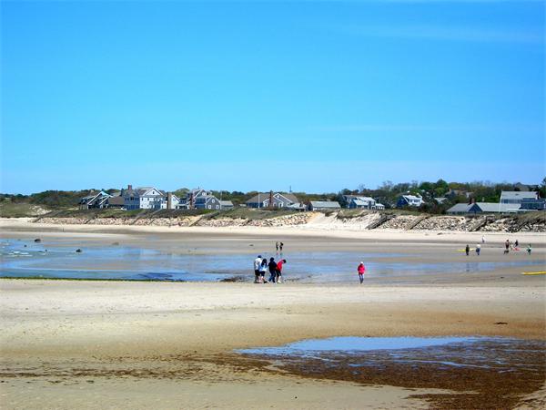 8 Red Cedar Circle Dennis, MA 02638 - Photo 17 of 18 a view of ocean view