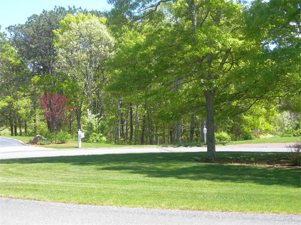 8 Red Cedar Circle Dennis, MA 02638 - Photo 4 of 18 a view of a park