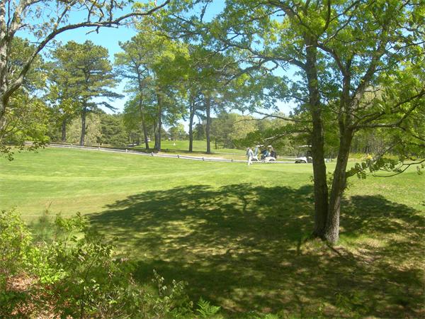 8 Red Cedar Circle Dennis, MA 02638 - Photo 5 of 18 a big yard with lots of green space and trees