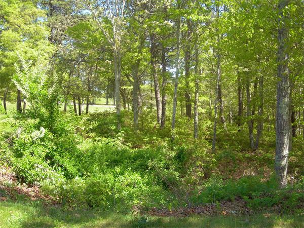 8 Red Cedar Circle Dennis, MA 02638 - Photo 6 of 18 a backyard of a house with lots of plants and trees