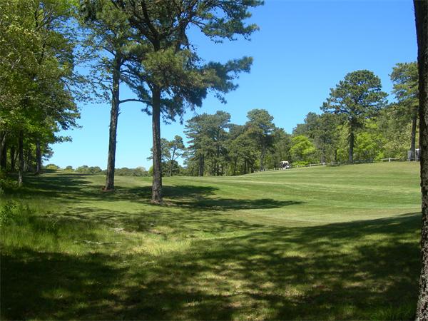 8 Red Cedar Circle Dennis, MA 02638 - Photo 8 of 18 a big yard with lots of green space