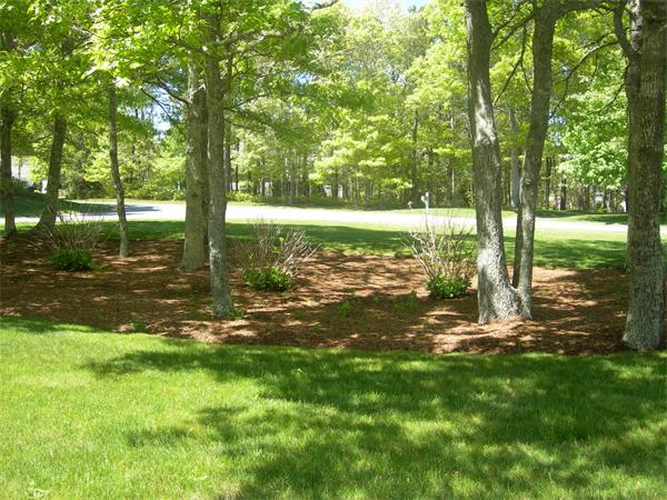 8 Red Cedar Circle Dennis, MA 02638 - Photo 9 of 18 a view of a yard with a tree