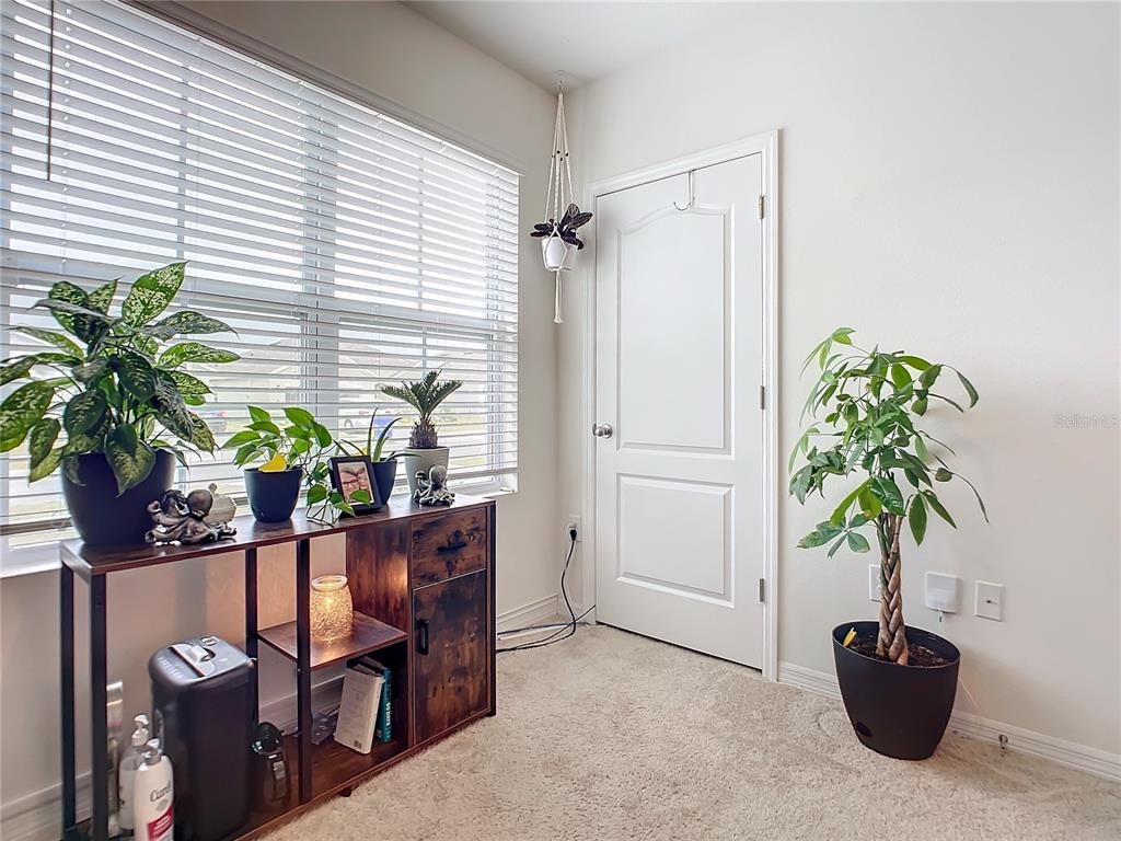 2607 Elmbrooke Way Edgewater, FL 32141 - Photo 29 of 52 a potted plant sitting in front of a window