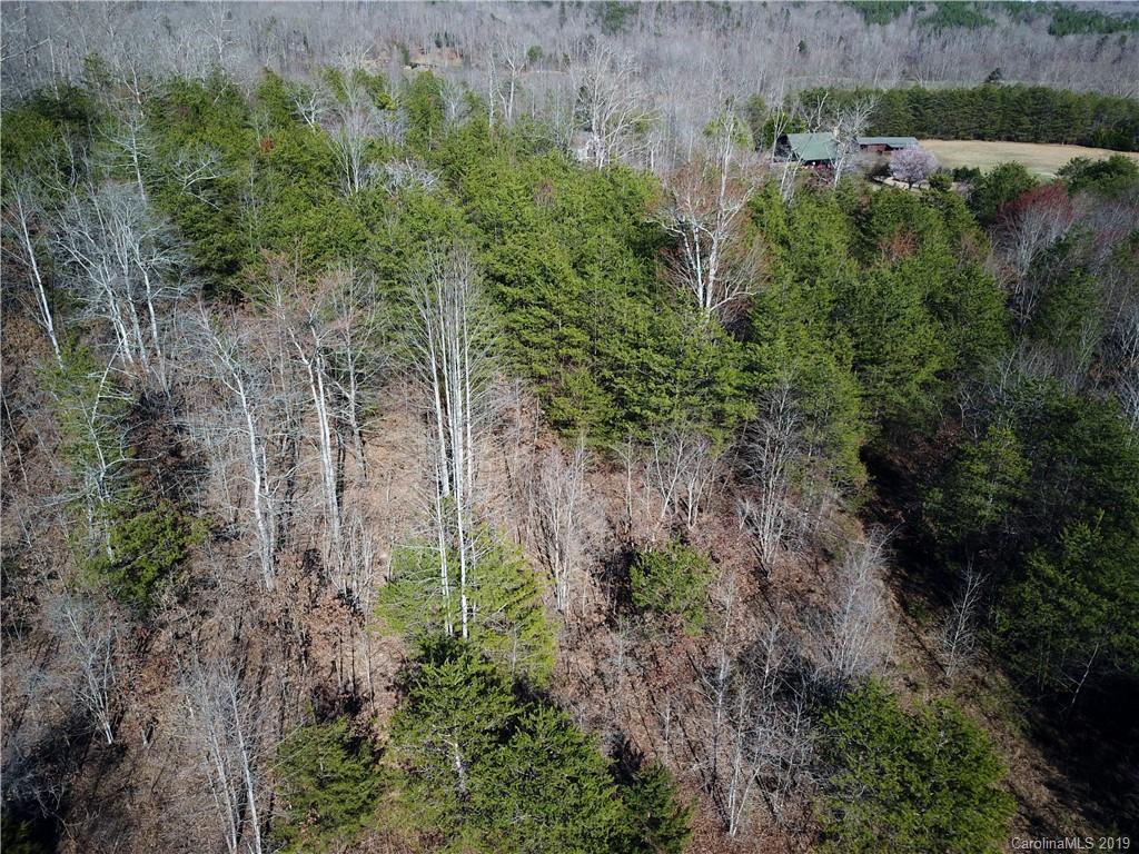 39 Zachary Lane, Unit 39 Rutherfordton, NC 28139 - Photo 2 of 6