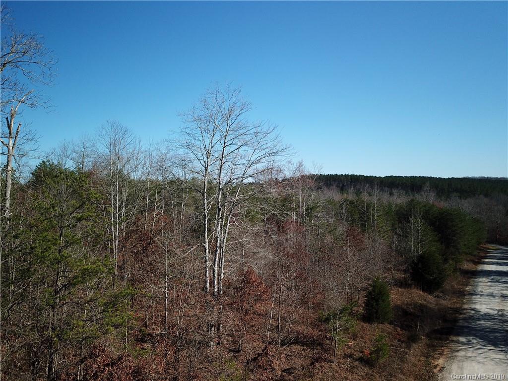 39 Zachary Lane, Unit 39 Rutherfordton, NC 28139 - Photo 3 of 6