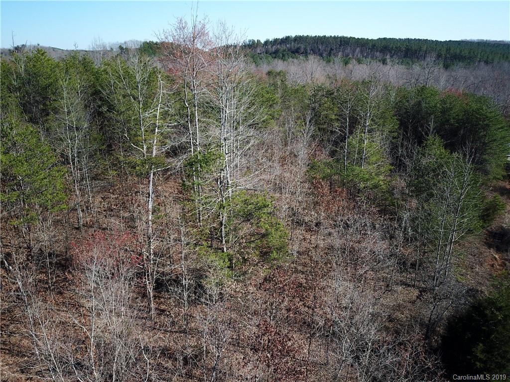 39 Zachary Lane, Unit 39 Rutherfordton, NC 28139 - Photo 4 of 6