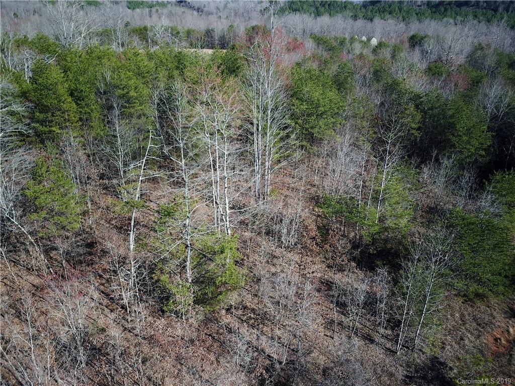 39 Zachary Lane, Unit 39 Rutherfordton, NC 28139 - Photo 5 of 6